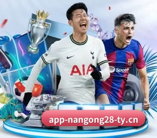 南宫28 APP